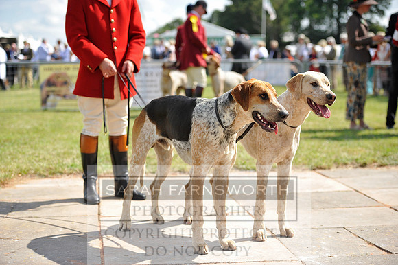 Honiton 2014 CF1 210