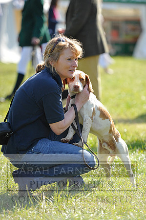 Honiton 2014 CF1 048