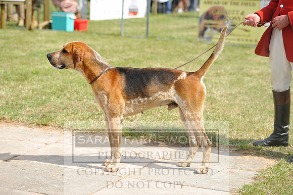 Honiton 2014 CF1 403