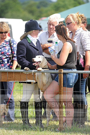 Honiton 2014 CF1 392