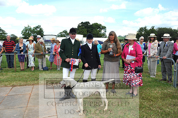 Honiton 2014 CF2 113