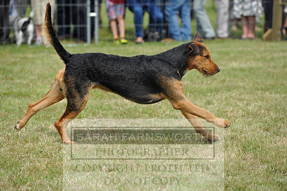 Honiton 2014 CF1 427