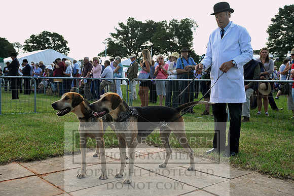 Honiton 2014 CF2 050