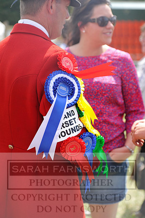 Honiton 2014 CF1 499