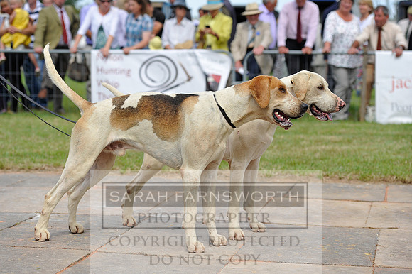 Honiton 2014 CF1 294