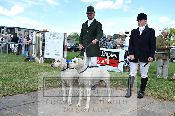 Honiton 2014 CF2 075