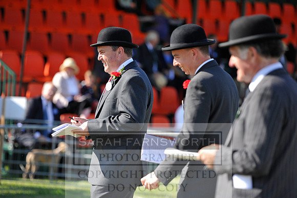 Honiton 2014 CF1 005