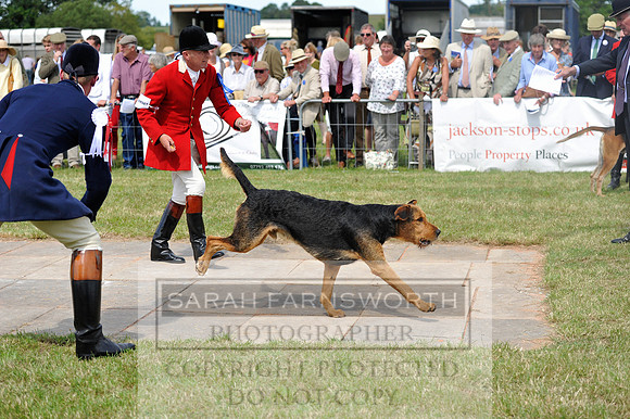 Honiton 2014 CF1 430