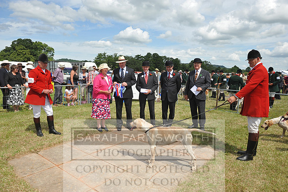 Honiton 2014 CF2 217