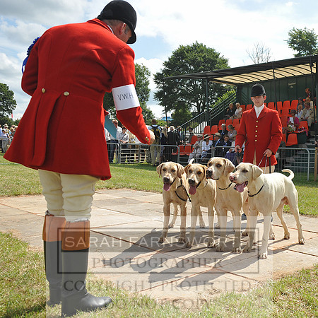 Honiton 2014 CF2 133