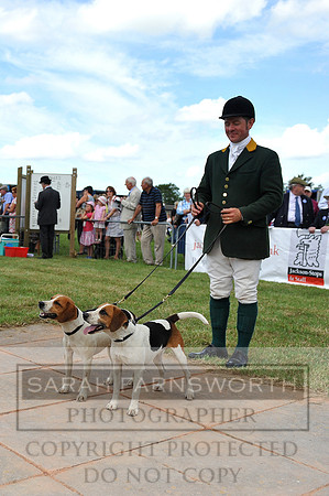 Honiton 2014 CF2 107