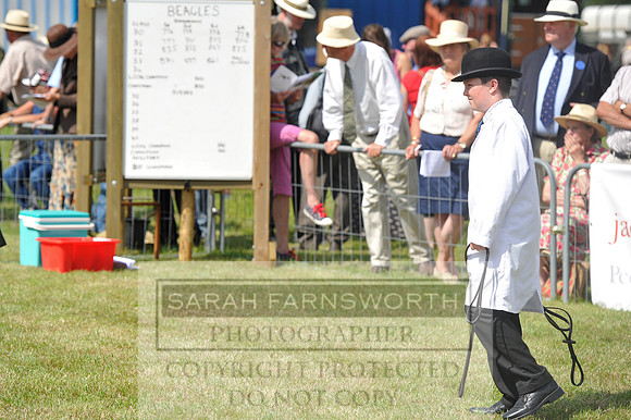 Honiton 2014 CF1 365