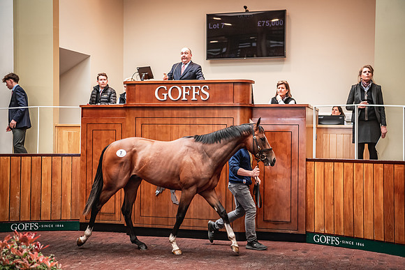 Goffs UK Breeze Up 2022-216
