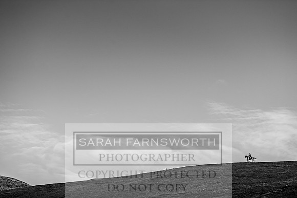 CVNNH 201018-5