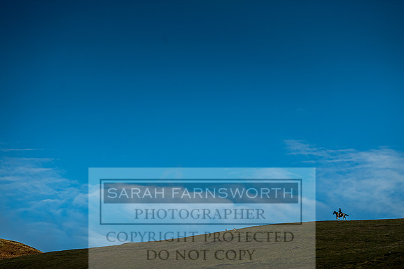 CVNNH 201018-6
