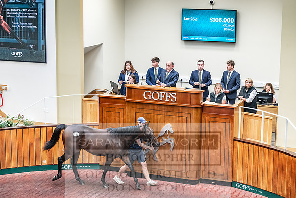 Goffs UK PY24-390