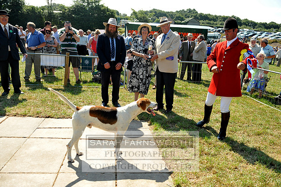 Honiton 2013 CF2 088