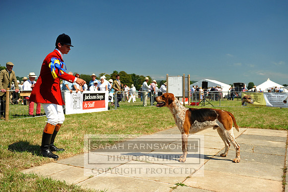Honiton 2013 CF2 117