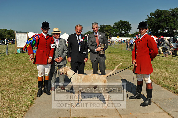 Honiton 2013 CF2 383