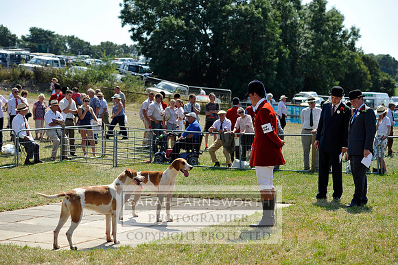 Honiton 2013 CF3 633