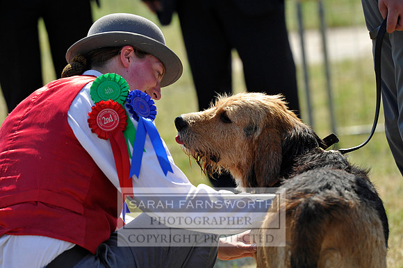 Honiton 2013 CF3 703