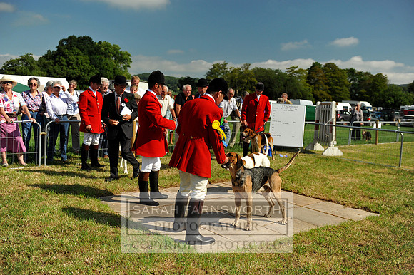 Honiton 2013 CF2 020