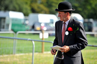 Honiton 2013 CF3 002