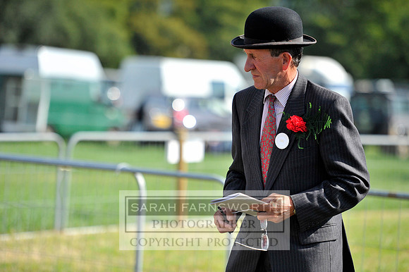 Honiton 2013 CF3 002