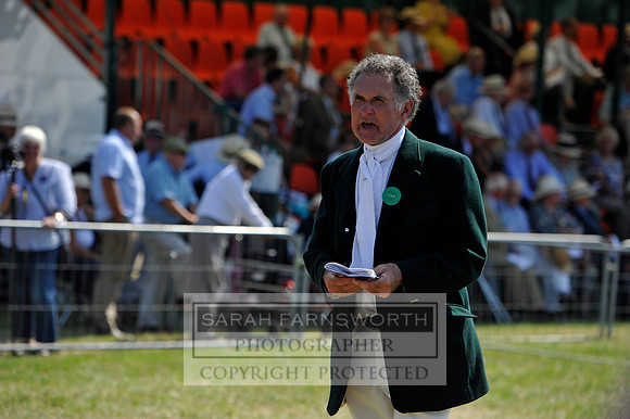 Honiton 2013 CF3 678