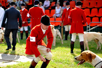 Honiton 2013 CF3 025