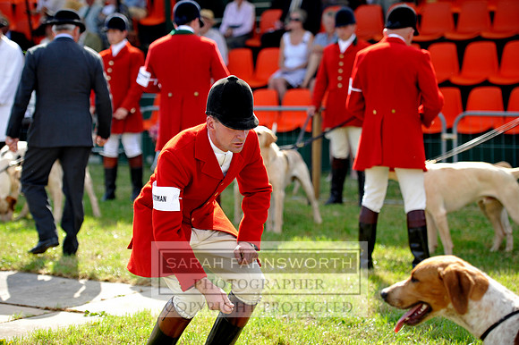 Honiton 2013 CF3 025