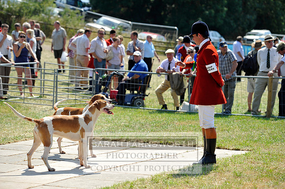 Honiton 2013 CF3 612