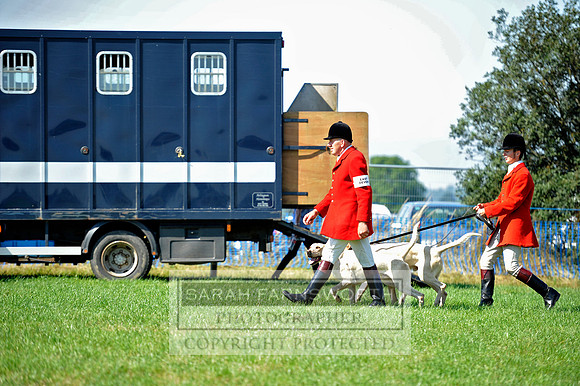 Honiton 2013 CF3 210