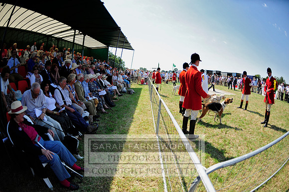 Honiton 2013 CF1 016