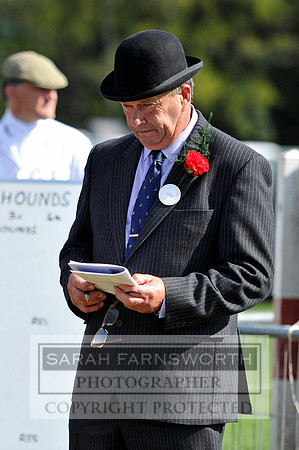 Honiton 2013 CF3 004