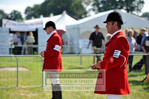 Honiton 2013 CF3 126