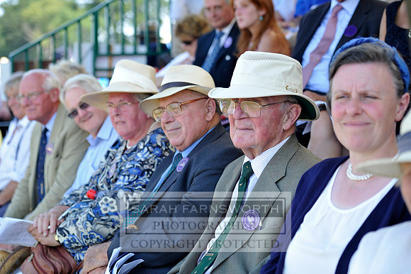 Honiton 2013 CF3 529