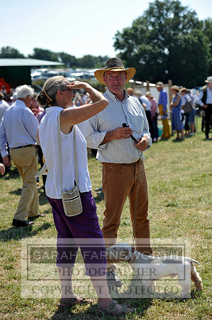Honiton 2013 CF3 520