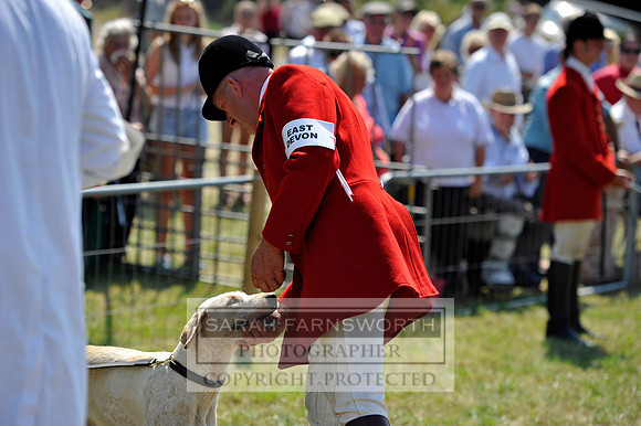 Honiton 2013 CF3 463