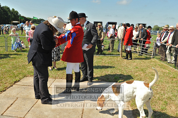 Honiton 2013 CF2 077