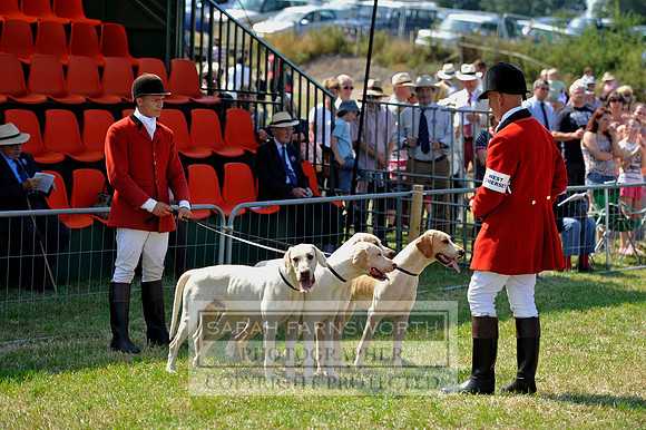 Honiton 2013 CF3 342
