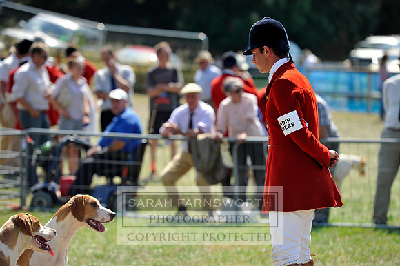 Honiton 2013 CF3 625