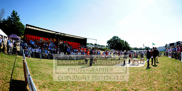 Honiton 2013 CF1 089