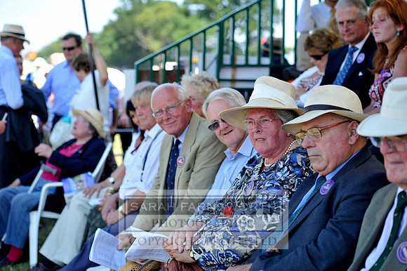 Honiton 2013 CF3 527