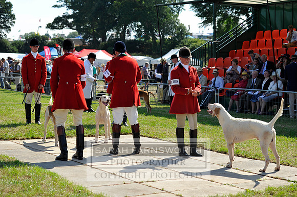 Honiton 2013 CF3 175
