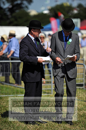 Honiton 2013 CF3 770