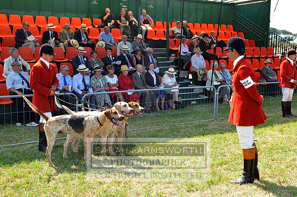 Honiton 2013 CF2 105