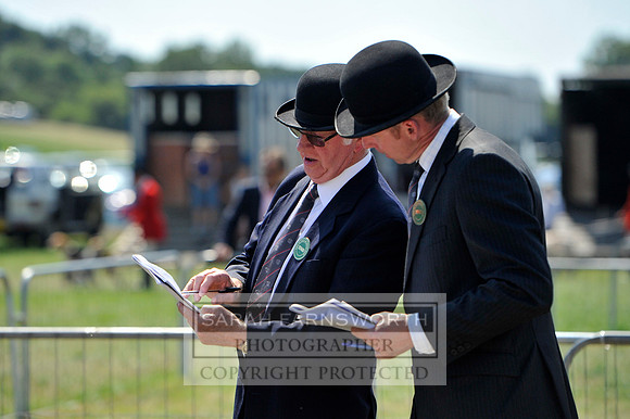 Honiton 2013 CF3 504