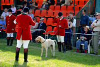 Honiton 2013 CF3 074