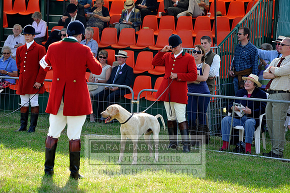 Honiton 2013 CF3 074